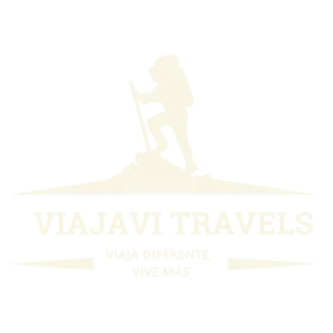 Logo Viajavi Travels